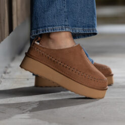 jean paul taissy chestnut