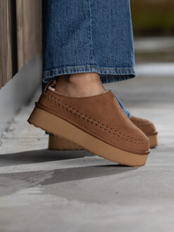 jean paul taissy chestnut