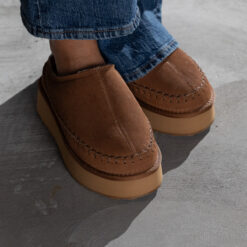 jean paul taissy chestnut