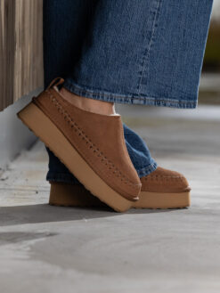jean paul taissy chestnut