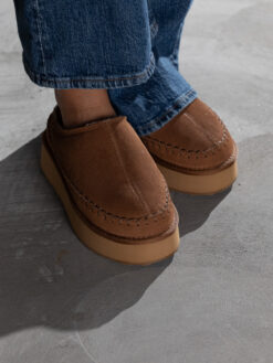 jean paul taissy chestnut